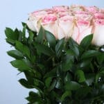 Serene Pink Roses 2 04