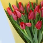 Red Tulips Hand-Tied Bouquet 2 04