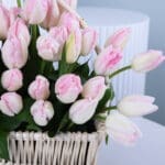 Light Pink Tulip Basket 2 04 33