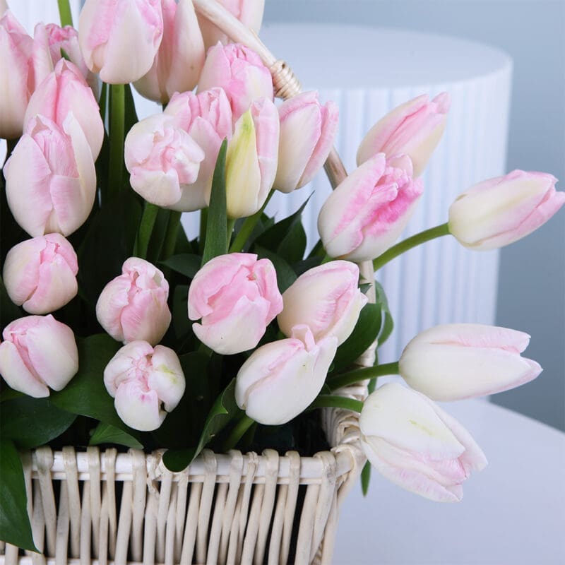 04 33 04 33