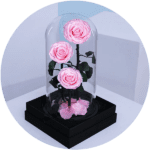 Forever Roses