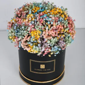 Gypsophila bouquet in a gift box