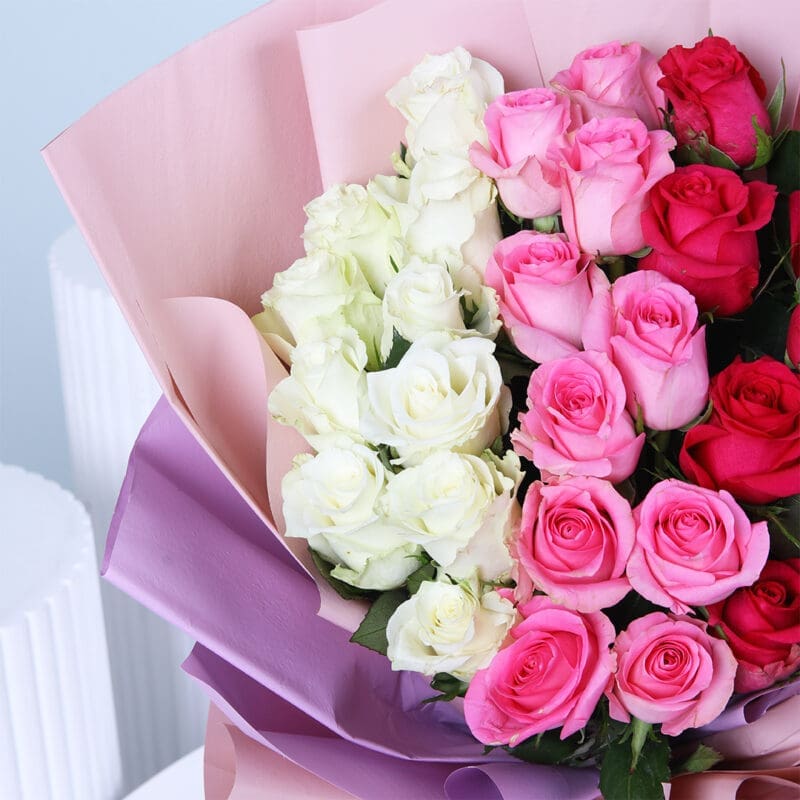 03 03 6