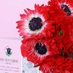 Classic Red Anemone Bunch 2 04