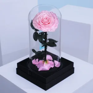 This long lasting preserved rose is one of the most magnificent way to impress your loved ones. Buy Now!