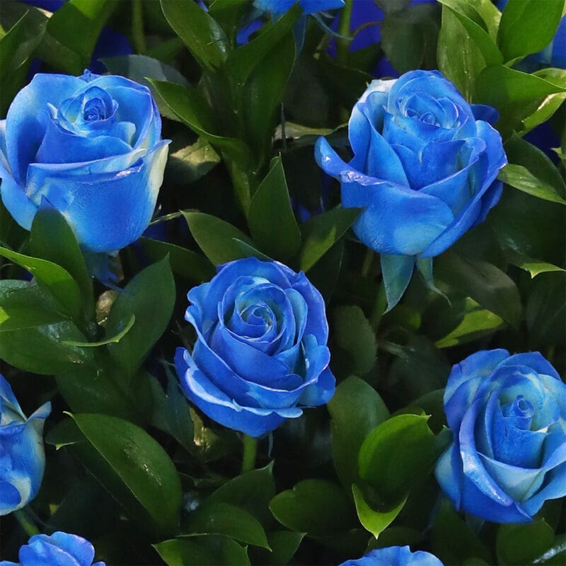 05 05 4