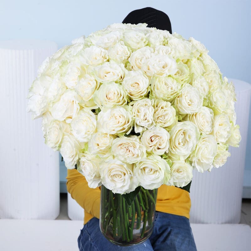 white-rose-vase_New A grand bouquet of 100 pristine white roses with visible green stems, neatly gathered with a natural fabric and elegantly arranged in a tall, clear glass cylindrical vase.