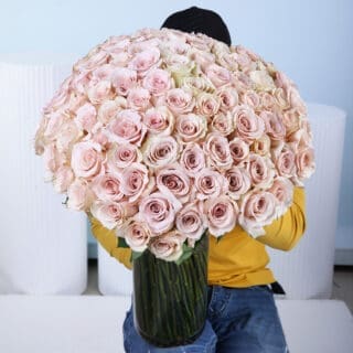A bouquet of 100 soft cream or light ivory roses with visible green stems, arranged in a vase tied together with a natural-colored fabric.
