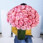 Double Colour Pink Rose Vase 1 bi-colour-pink-rose-vase-main