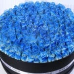 Mystic Blue Rose Box 2 04