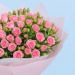 Blush Pink Spray Roses 5 2
