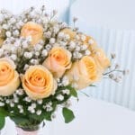 Peach Roses in Vase 5 2