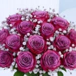 Deep Purple Roses in Vase 3 4