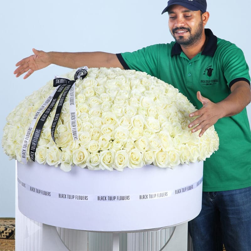 Grand White Rose Box A man in a green polo shirt carefully places a single white rose into a very large, round floral arrangement made entirely of white roses.