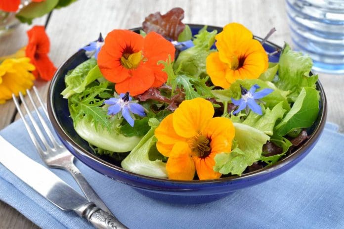 9 Tips to Follow When Eating Flowers Raw