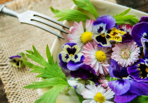 What Flowers