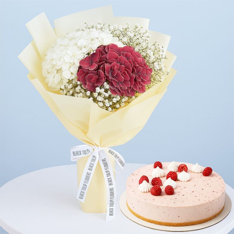 red-white-hydrangea-bouquet-01 A gift combo featuring a beautiful bouquet of white and red hydrangeas with baby's breath, wrapped in cream and a light pink cake.