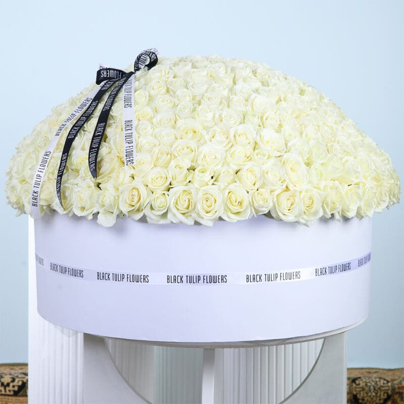 white-rose-box A man in a green polo shirt carefully places a single white rose into a very large, round floral arrangement made entirely of white roses.