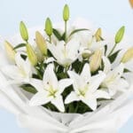 White Lilies & Golden Balloons 4 04