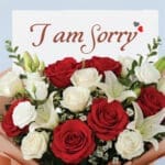 I am Sorry Red & White Rose Bouquet 2 02