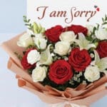 I am Sorry Red & White Rose Bouquet 4 04