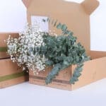Gypsophila Excellence & Eucalyptus Cinerea Bunch 1 01