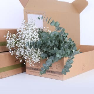 Gypsophila Excellence & Eucalyptus Cinerea Bunch