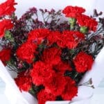 Red Carnations Bouquet & Teddy Combo 3 03