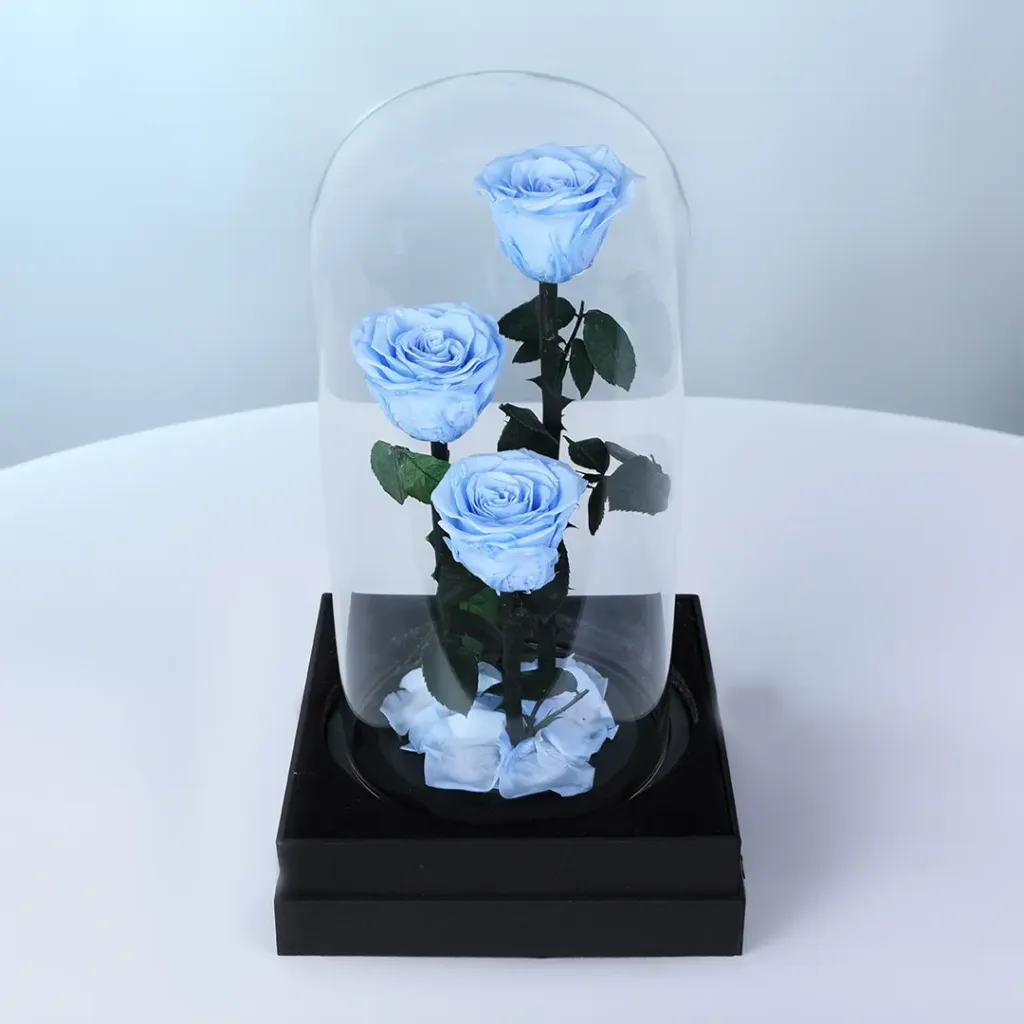 light blue trio forever rose