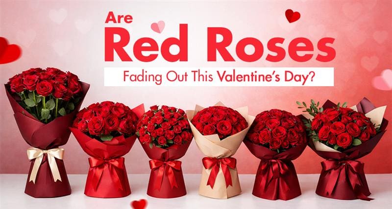 Valentine’s Day red roses tradition versus modern floral choices