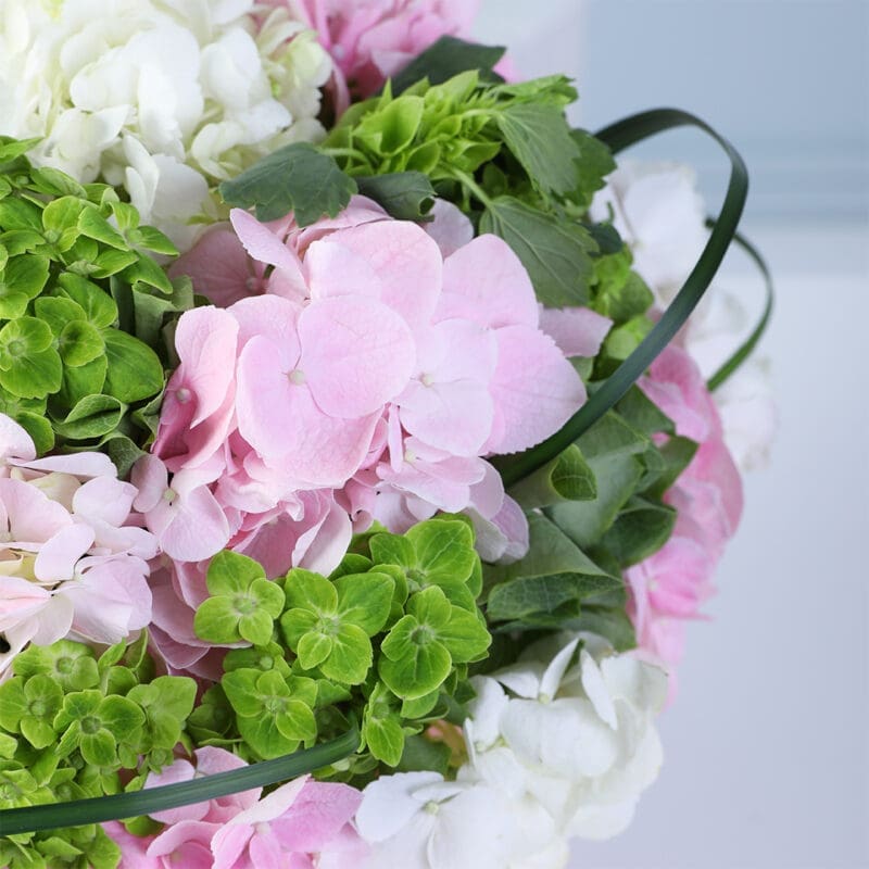 mixed-hydrangea-flower-box_03 mixed hydrangea flower box 03