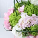 Premium Mixed Hydrangea Box 4 mixed-hydrangea-flower-box_04