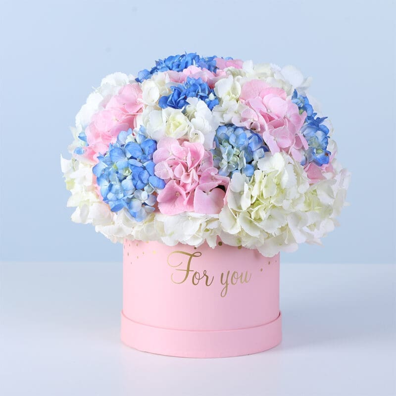 full hydrangea bloom box pink 02