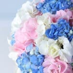 full-hydrangea-bloom-box-pink_05