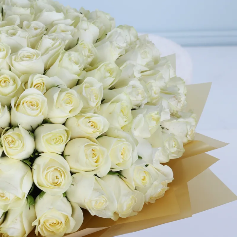 100 white roses bouquet 04