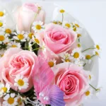 blush-butterfly-box-with-ferrero_03