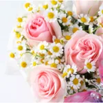 blush-butterfly-box-with-ferrero_04