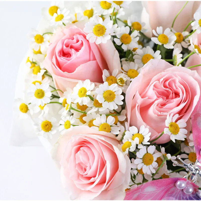blush butterfly box with ferrero 04