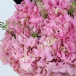Graduation Milestone Blooms Box 5 graduation-milestone-blooms_05