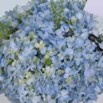 Premium Hydrangea Graduation Gift 2 premium-hydrangea-graduation-gift_02