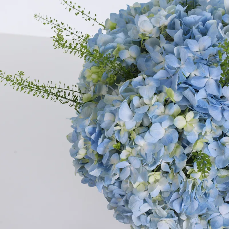 premium-hydrangea-graduation-gift_04 premium hydrangea graduation gift 04
