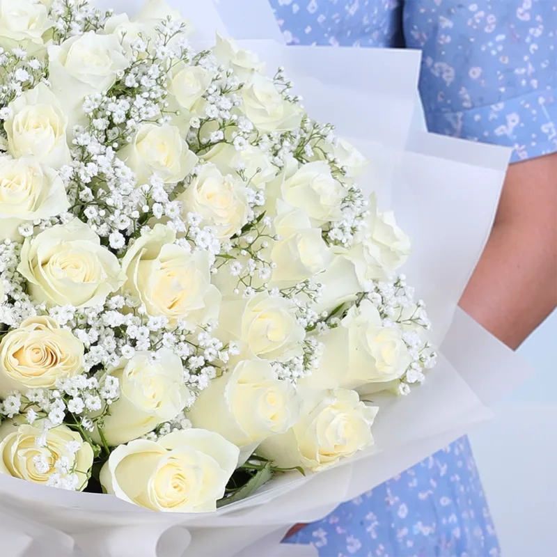 snow-pearl-roses_04 snow pearl roses 04
