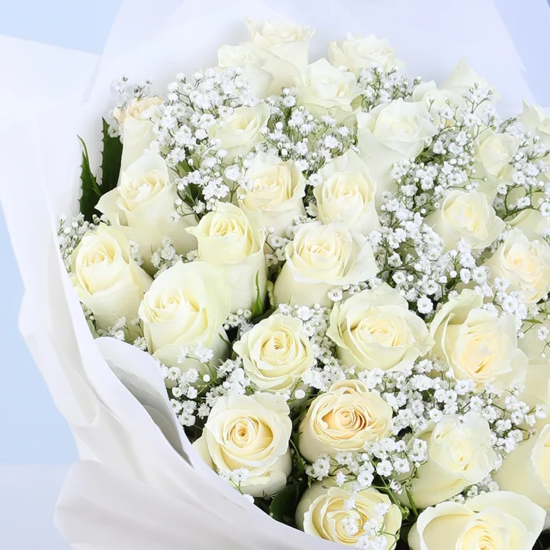 snow-pearl-roses_05 snow pearl roses 05