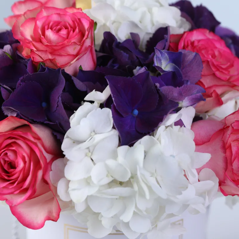 blossom aura gift box 03