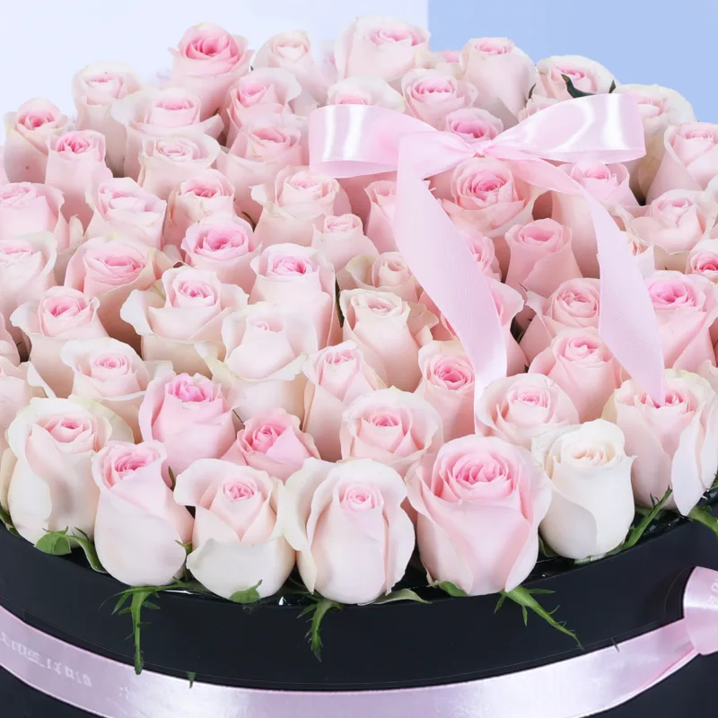 elegant rose box 05 scaled