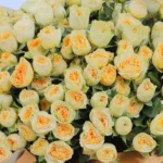 Imperial Rose Bouquet 4 imperial-rose-bouquet_05