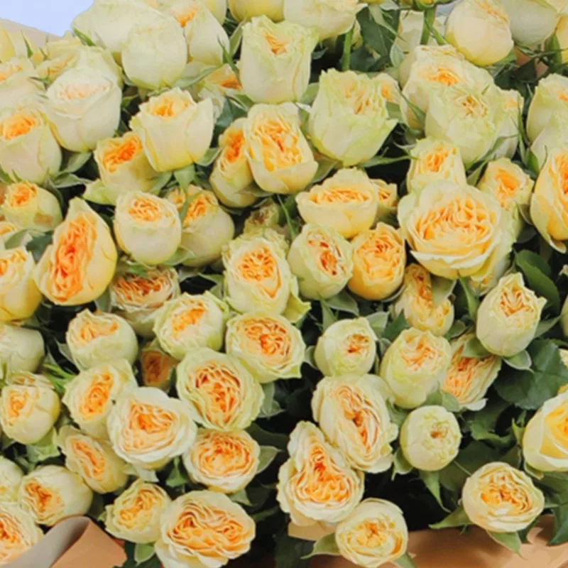 imperial-rose-bouquet_05 imperial rose bouquet 05