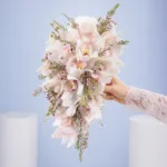 orchid-bridal-dream