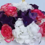 Rose Hydrangea Celebration Arrangement 5 rose-hydrangea-celebration-arrangement_05