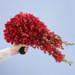 Ruby Grace Cascade Bouquet 1 ruby-grace-cascade